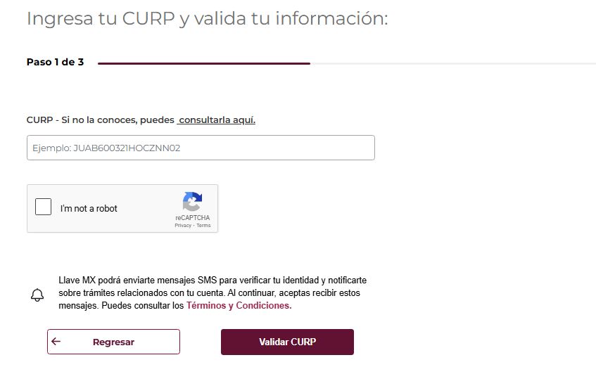 Enter CURP